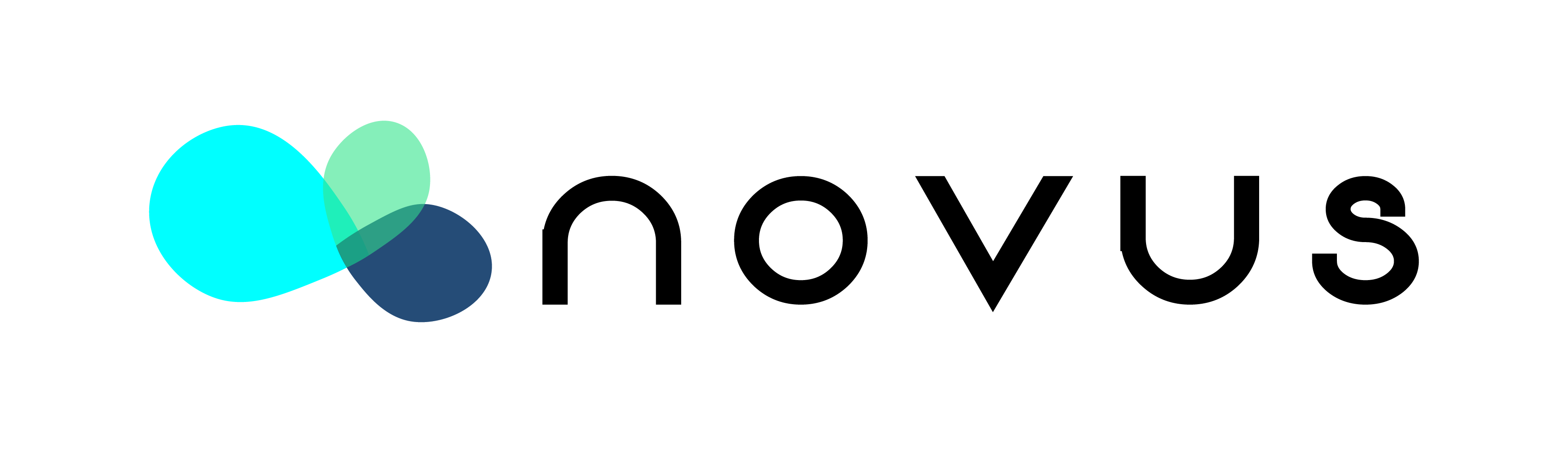 Novus Cloud logo